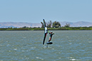 DSC_2009
